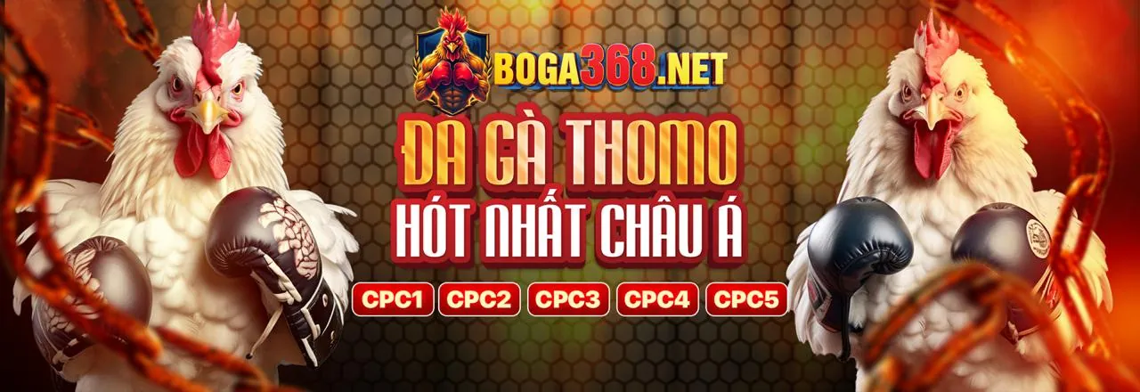 Banner chính thức no789 link mới 2026 với các trò chơi cá cược và yếu tố an toàn