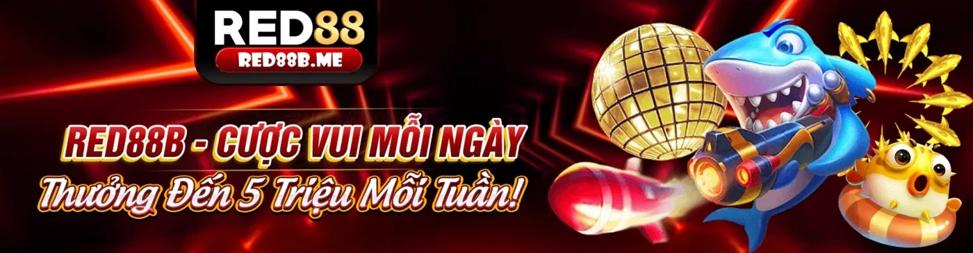 Hình ảnh tổng quan về link no789 mới nhất và các dịch vụ cá cược trực tuyến